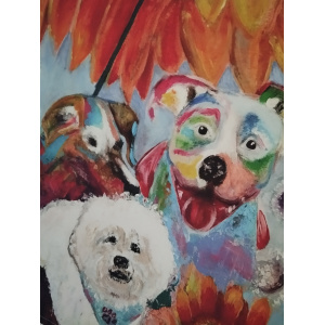 dogs-in-sunflower-field-2